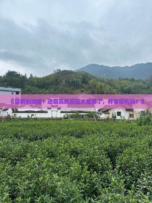 《昆明到攻略？进藏高原反应太难受了，有老司机吗？》