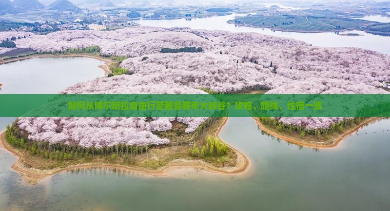 如何从博尔塔拉自由行至雅鲁藏布大峡谷？攻略、路线、住宿一览