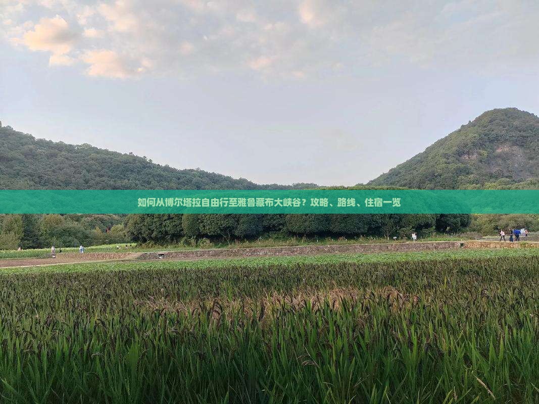 如何从博尔塔拉自由行至雅鲁藏布大峡谷？攻略、路线、住宿一览