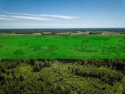 亳州去羊卓雍措团体旅游路线、费用及行程指南