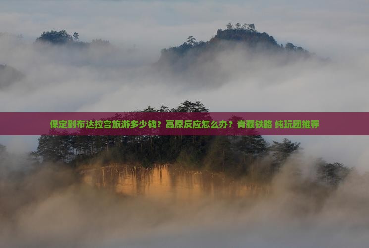 保定到布达拉宫旅游多少钱？高原反应怎么办？青藏铁路+纯玩团推荐