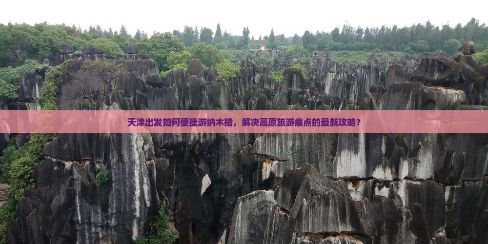 天津出发如何便捷游纳木措，解决高原旅游痛点的最新攻略？