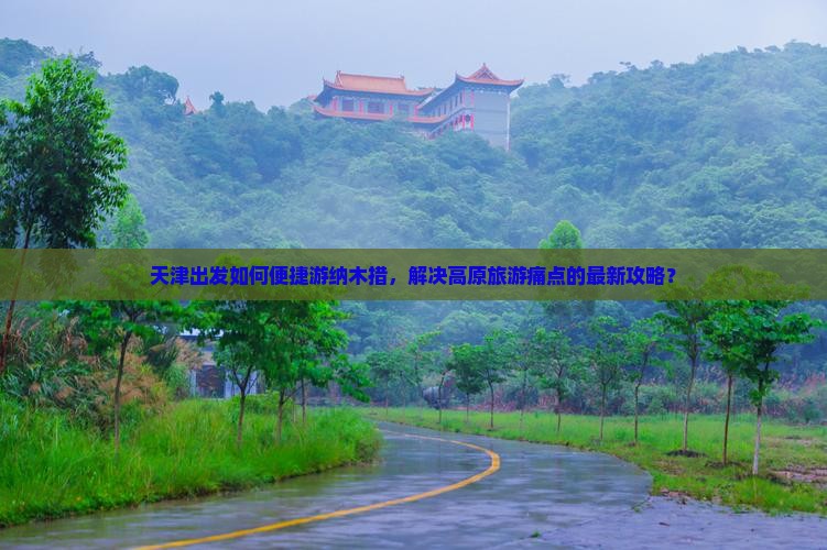 天津出发如何便捷游纳木措，解决高原旅游痛点的最新攻略？
