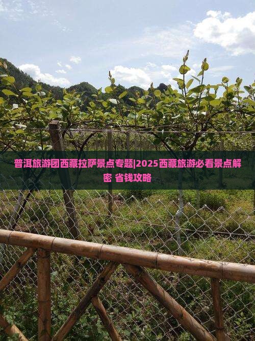 普洱去西藏拉萨自由团