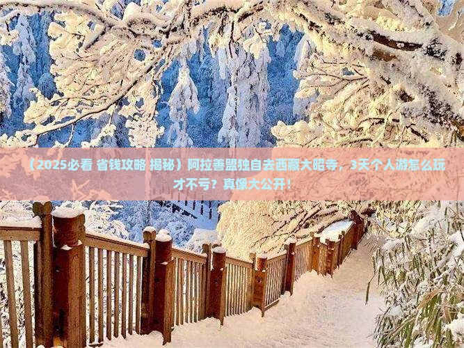阿拉善盟去西藏大昭寺个人游