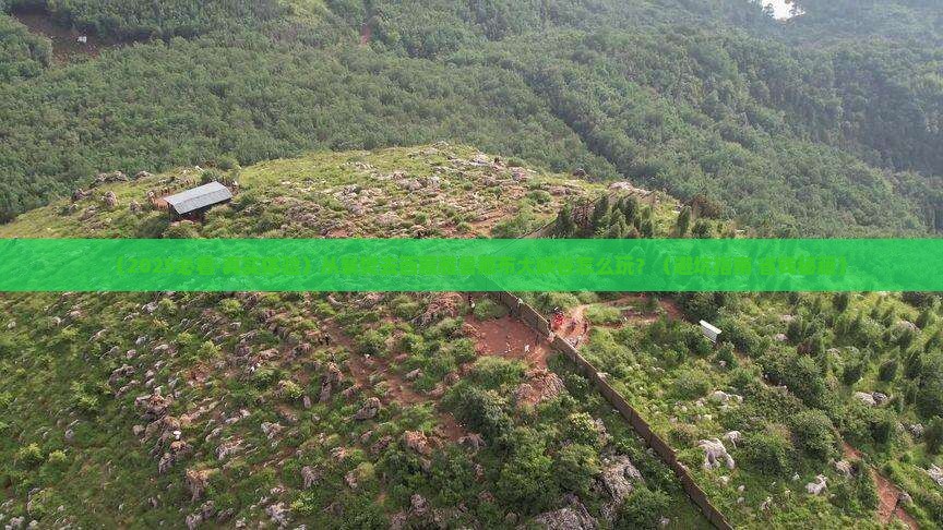襄樊到西藏雅鲁藏布大峡谷哪里玩
