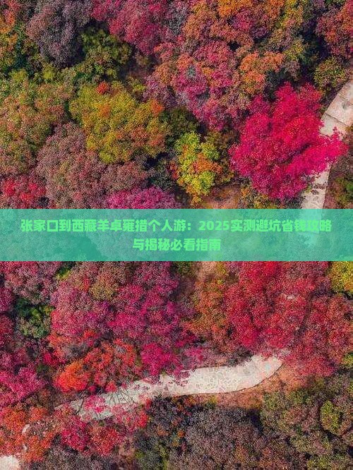 张家口到西藏羊卓雍措个人游