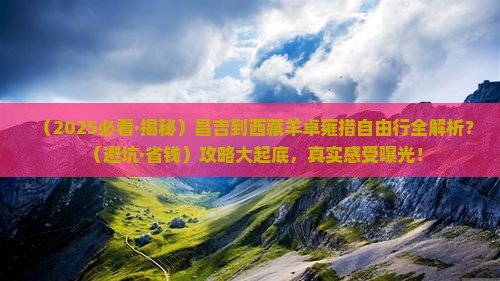 昌吉去西藏羊卓雍措自由行