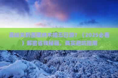 嘉峪关到西藏纳木措五日游