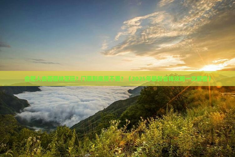 合肥去西藏林芝门票