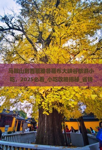 马鞍山到西藏雅鲁藏布大峡谷旅游小吃