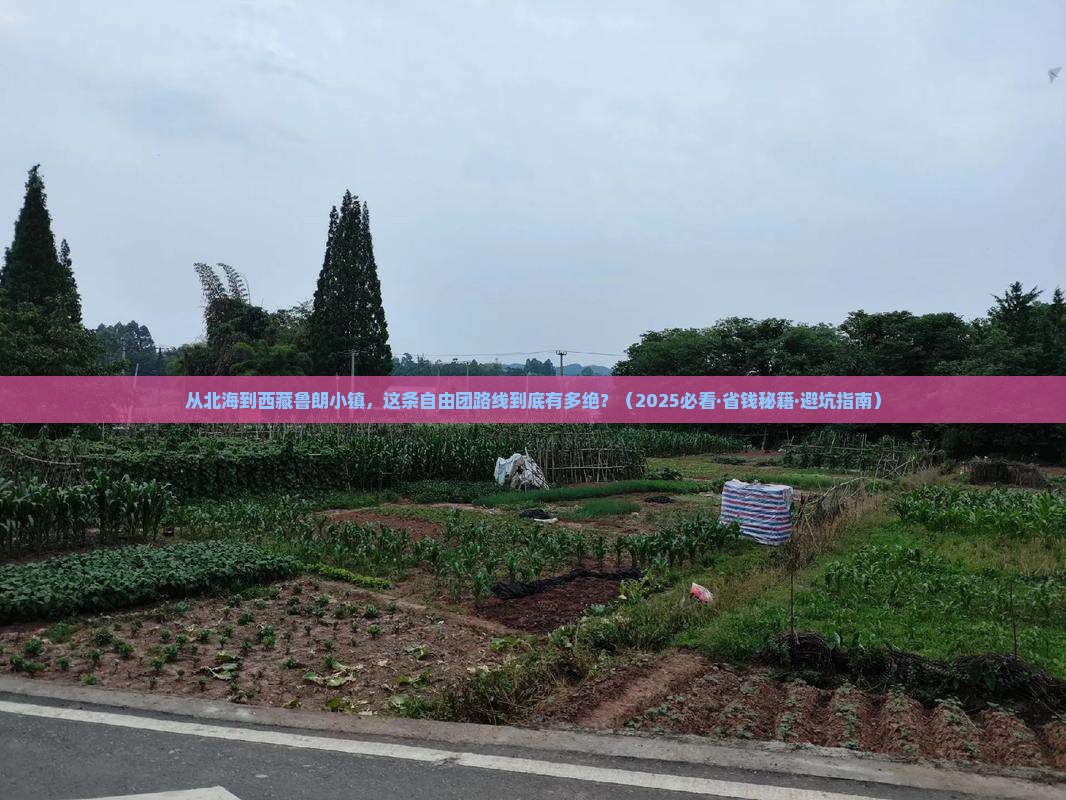 北海到西藏鲁朗小镇自由团