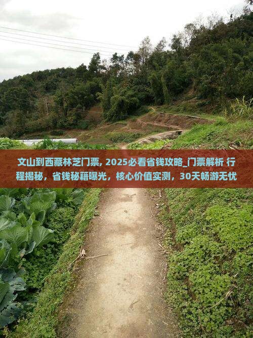 文山到西藏林芝门票