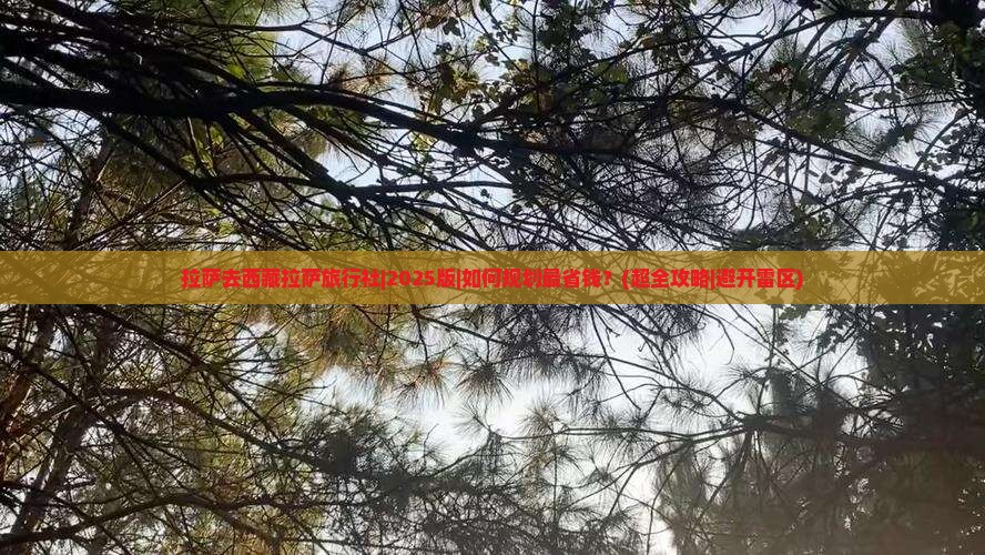 拉萨去西藏拉萨旅行社