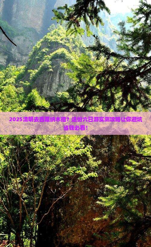 清明节到西藏纳木措六日游
