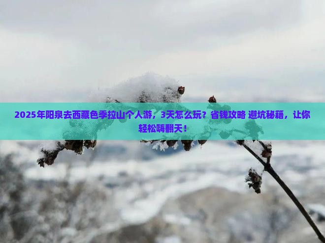 阳泉到西藏色季拉山个人游