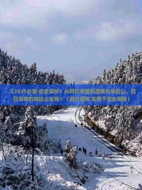 阿拉善盟到西藏色季拉山四日游