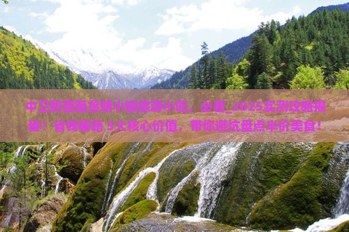 中卫到西藏鲁朗小镇旅游小吃