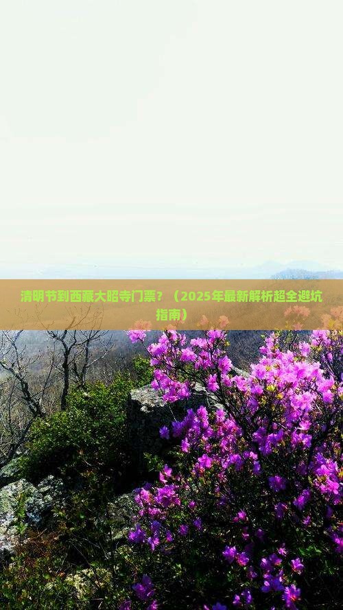 清明节到西藏大昭寺门票