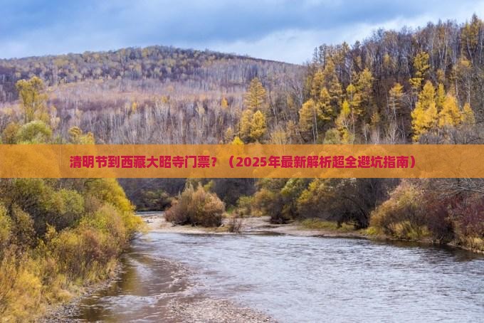 清明节到西藏大昭寺门票