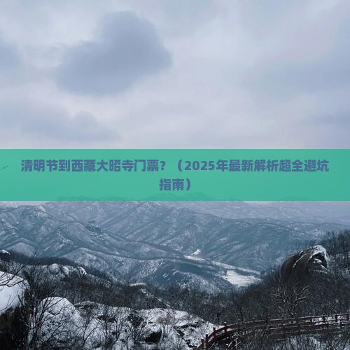 清明节到西藏大昭寺门票