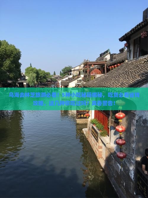 乌海市去西藏林芝旅游小吃