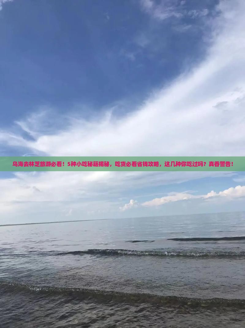 乌海市去西藏林芝旅游小吃