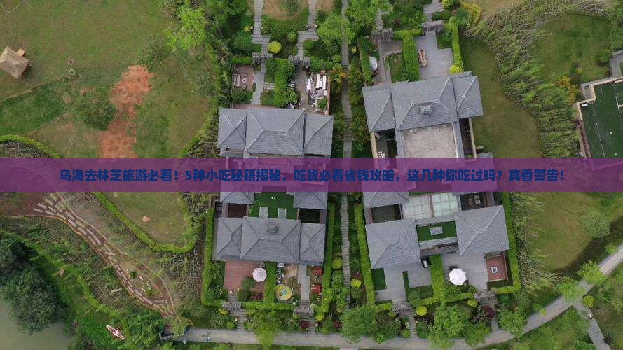 乌海市去西藏林芝旅游小吃
