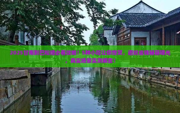甘南到西藏巴松措旅游小吃