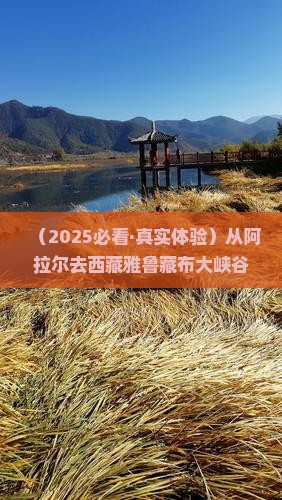 阿拉尔到西藏雅鲁藏布大峡谷六日游 阿拉尔到西藏雅鲁藏布大峡谷六日游