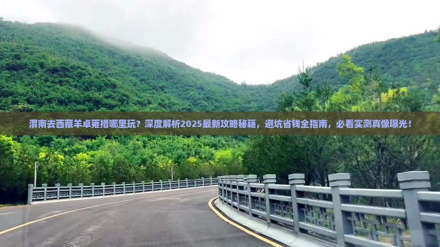 渭南去西藏羊卓雍措哪里玩 渭南去西藏羊卓雍措哪里玩