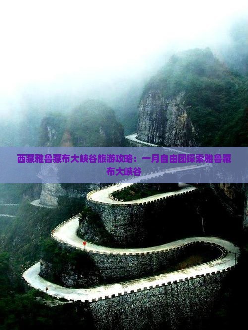 一月到西藏雅鲁藏布大峡谷自由团