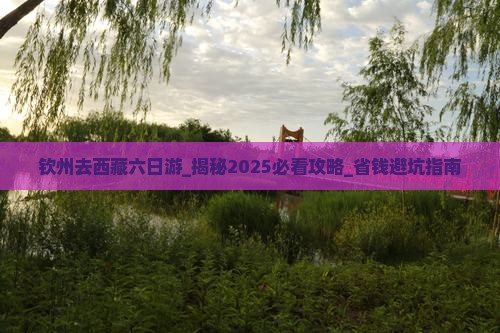 钦州去西藏六日游