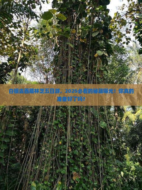 白银去西藏林芝五日游