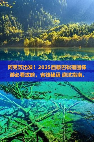 阿克苏到西藏巴松措团体旅游