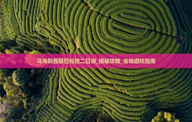 乌海到西藏巴松措二日游