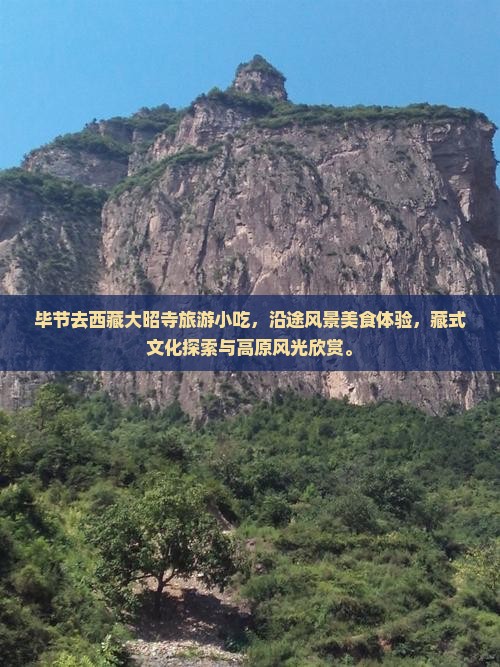 毕节去西藏大昭寺旅游小吃