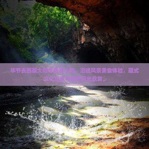 毕节去西藏大昭寺旅游小吃