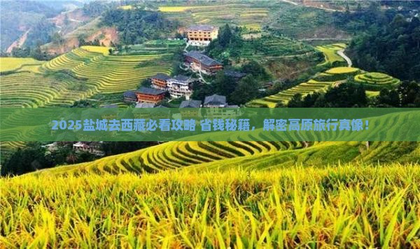 盐城去西藏旅行社