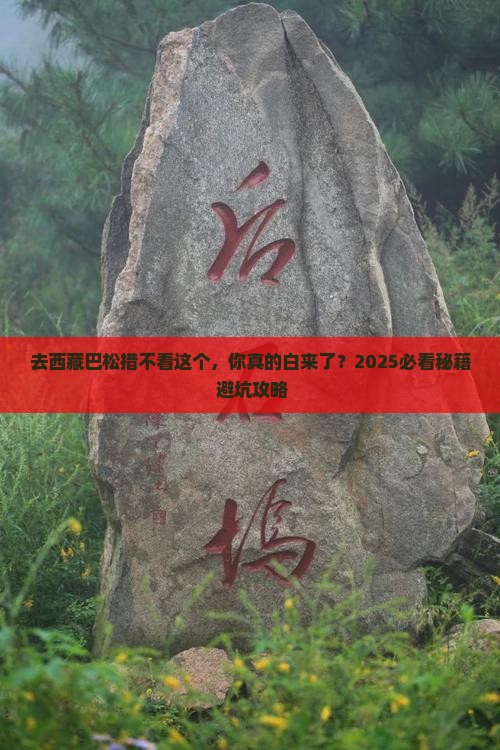 来宾到西藏巴松措必去地