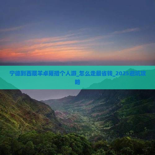 宁德到西藏羊卓雍措个人游