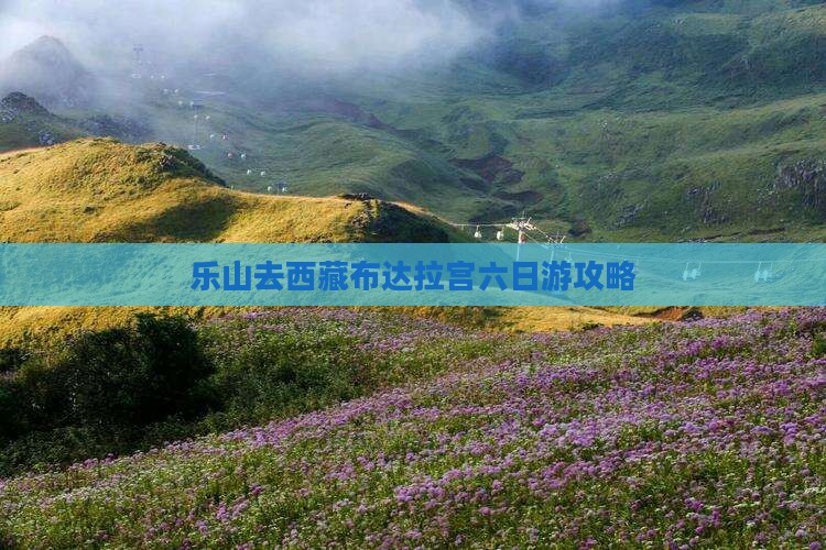 乐山去西藏布达拉宫六日游