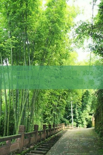 周口到西藏色季拉山三日游