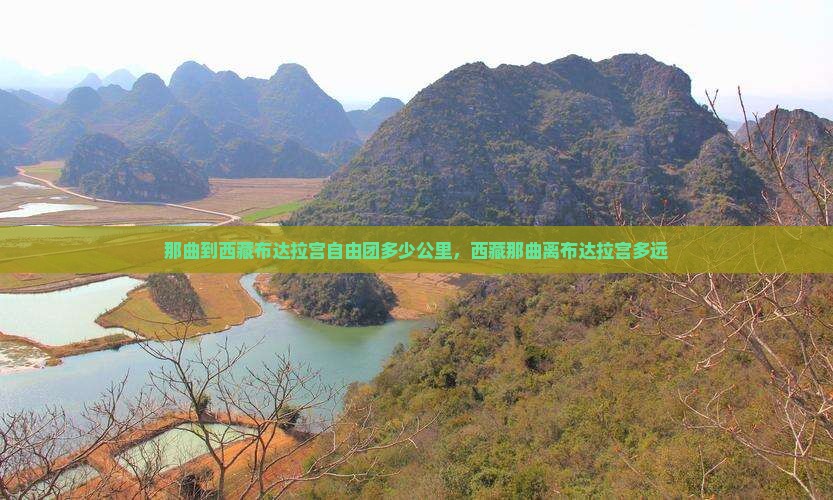 那曲到西藏布达拉宫自由团
