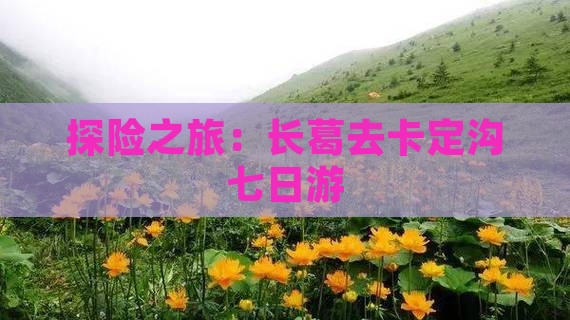 长葛去西藏卡定沟七日游