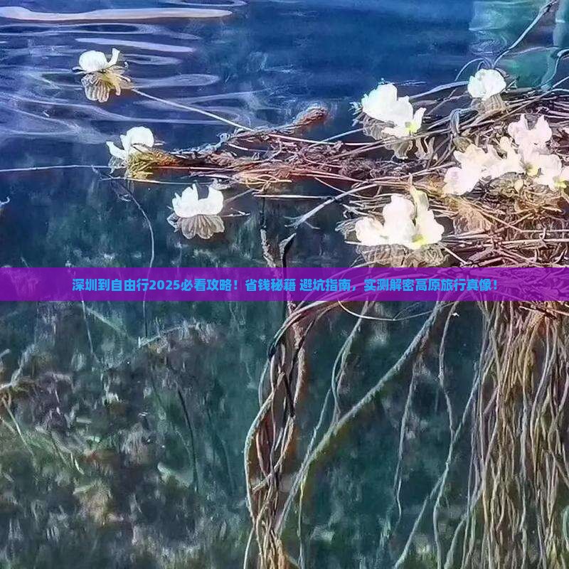 深圳到西藏自由行