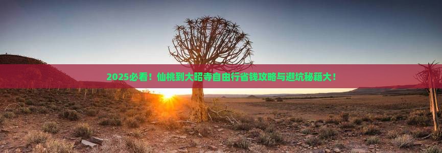 仙桃到西藏大昭寺自由团