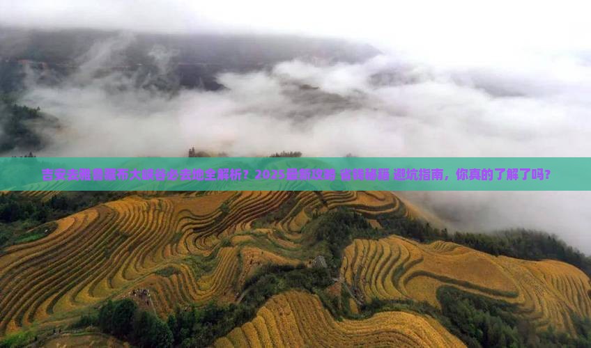 吉安去西藏雅鲁藏布大峡谷必去地