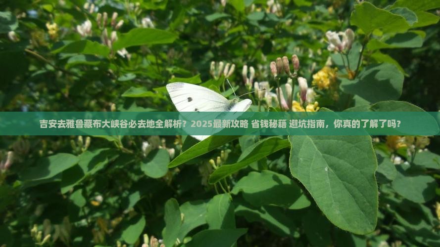 吉安去西藏雅鲁藏布大峡谷必去地