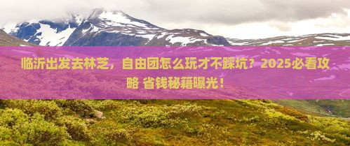 临沂去西藏林芝自由团